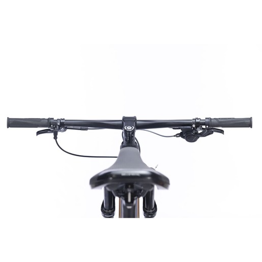 BIC CARBON IMPACT PRO 2024 CINZA/DOURADO TAM L - SENSE